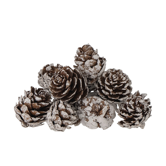 Demis Deco, White, Pinecone